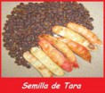/album/nuestros-productos/semilla-tara-jpg/